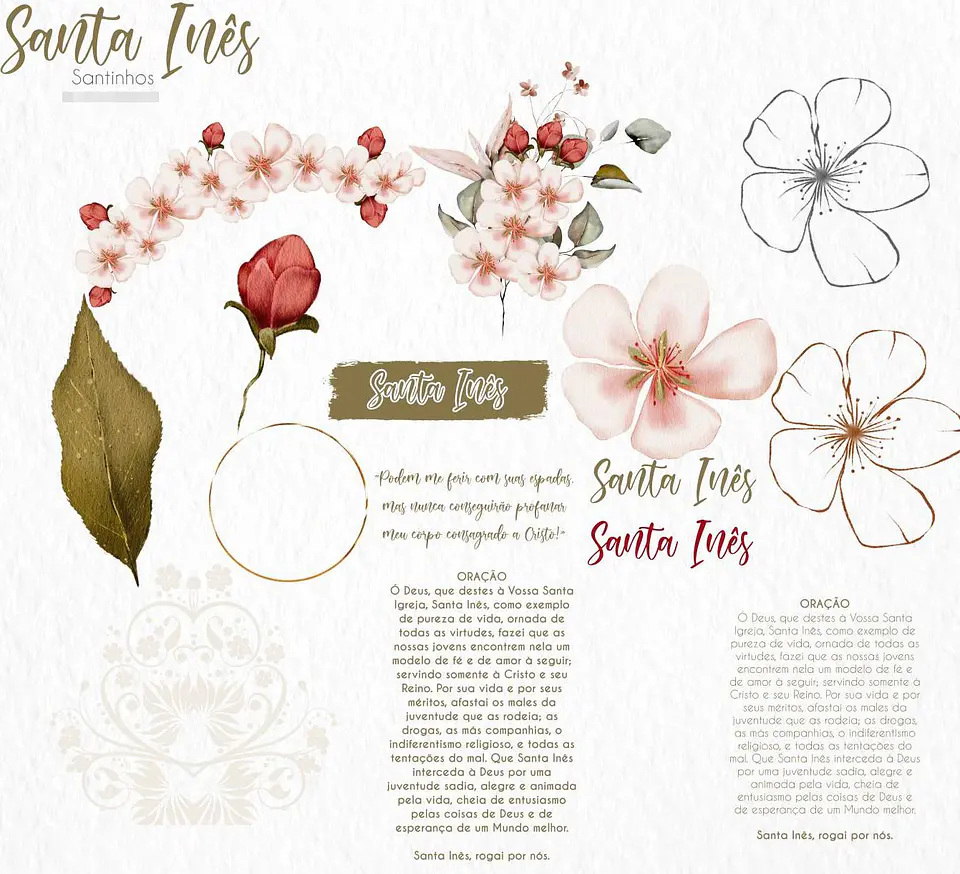 Kit Digital Santa Inês Aquarela em Png  4