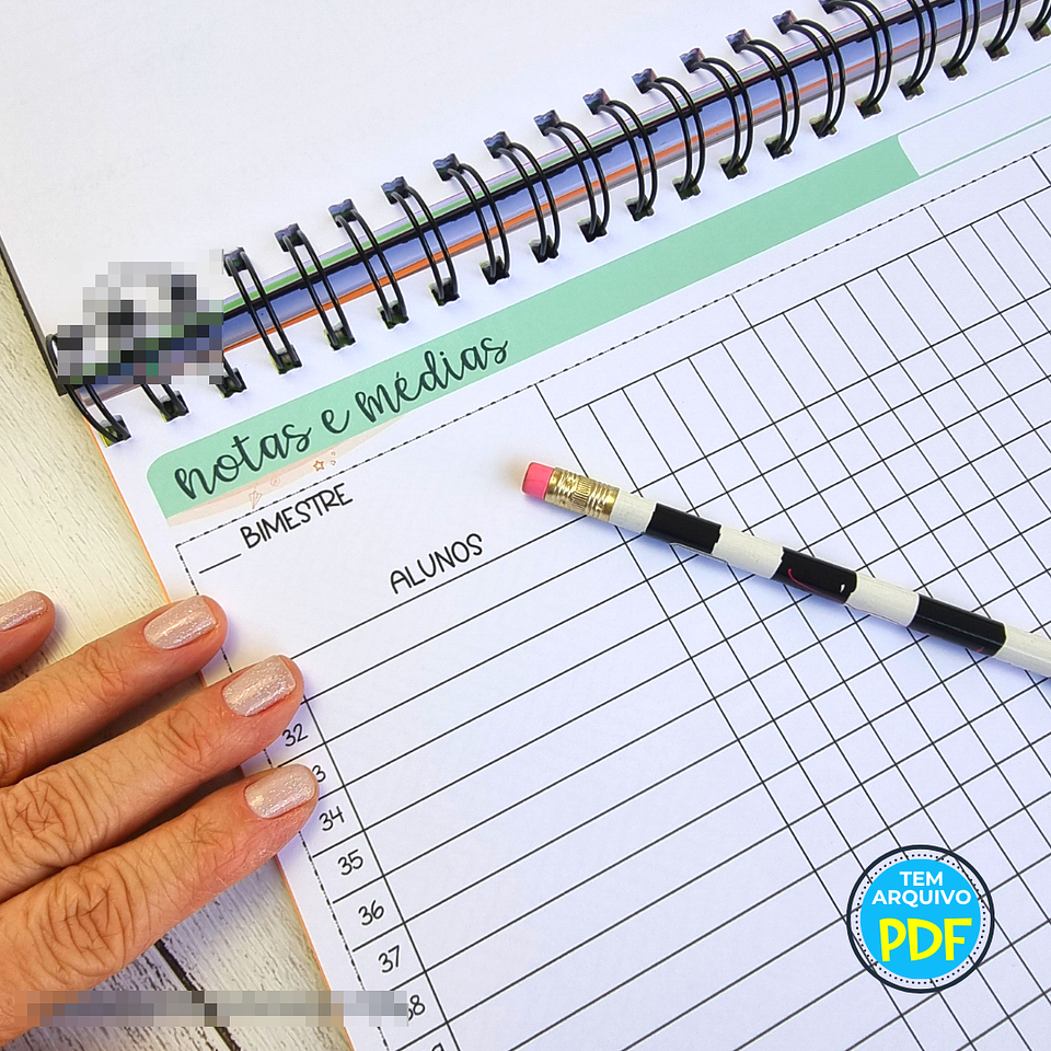 Arquivo Caderno de Registros de Aula Professores em Pdf  3