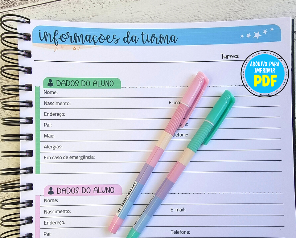 Arquivo Caderno de Registros de Aula Professores em Pdf  6