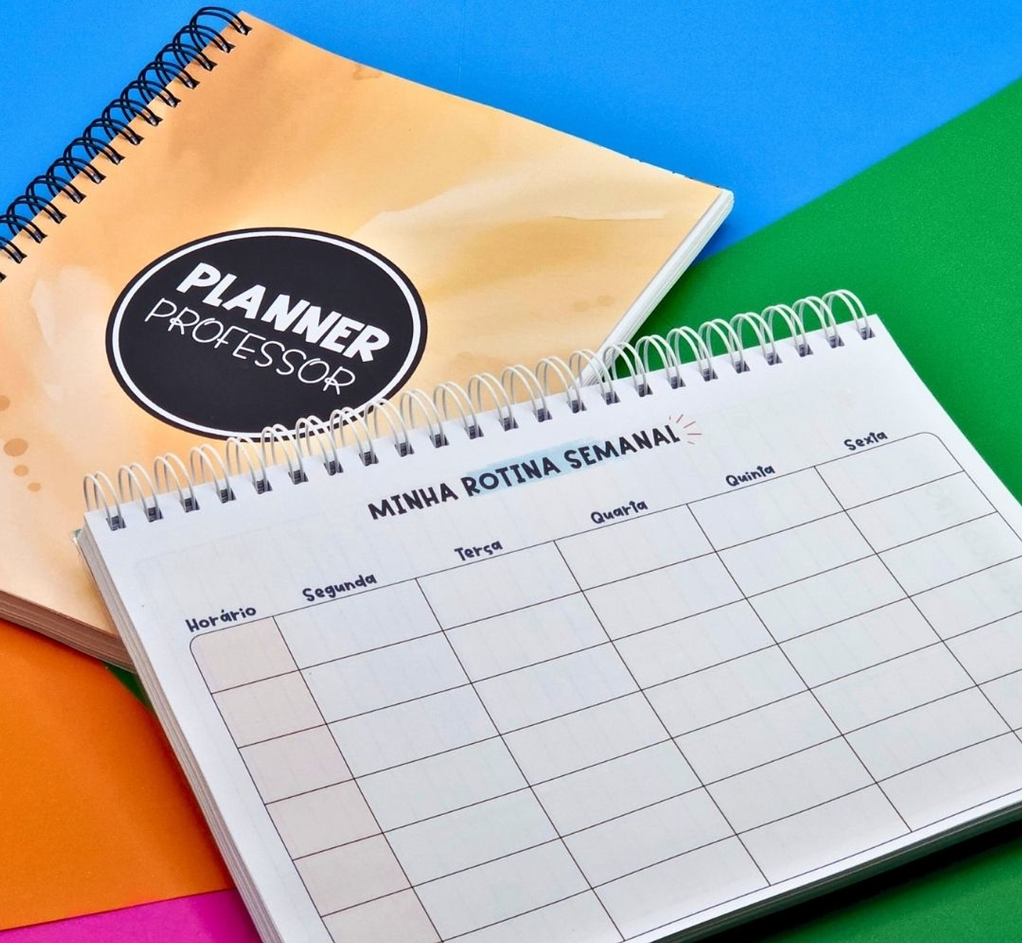 Arquivo Planner Anotações Professores em Pdf 8