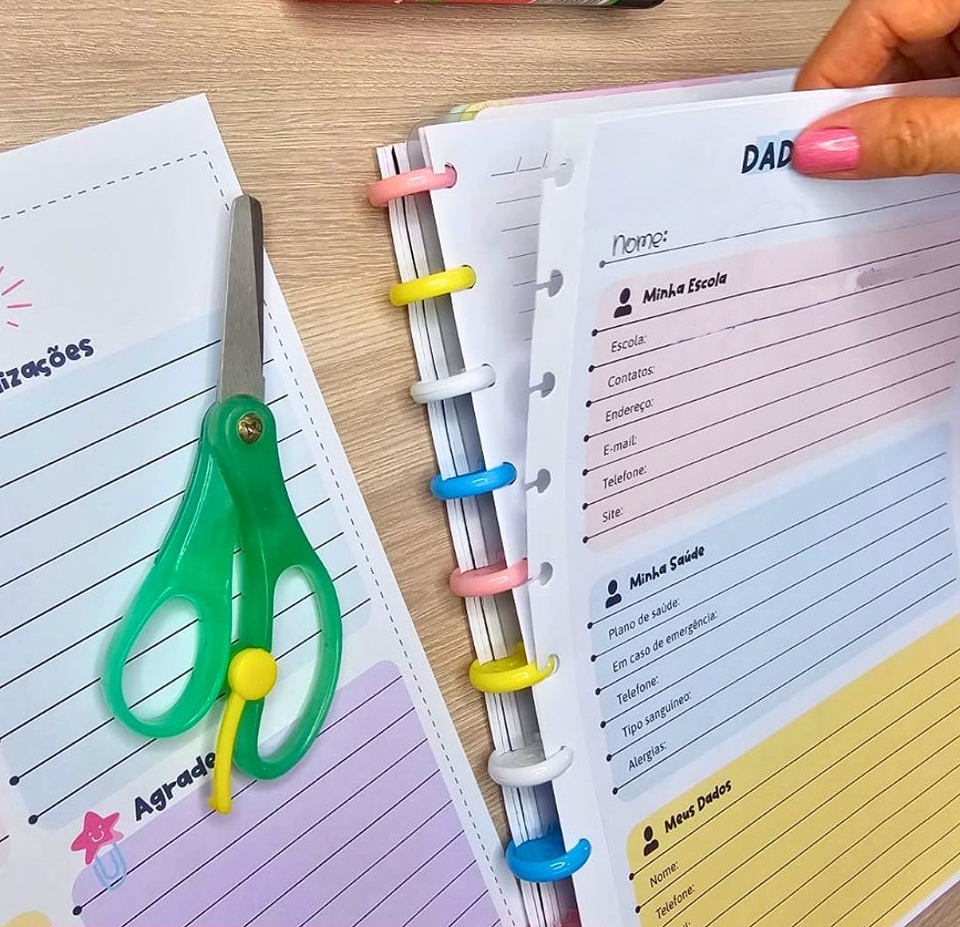 Arquivo Planner Anotações Professores em Pdf 12