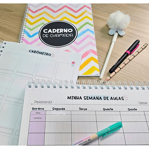 Arquivo Planner Anotações Professores em Pdf