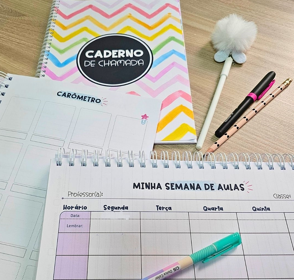 Arquivo Planner Anotações Professores em Pdf 13