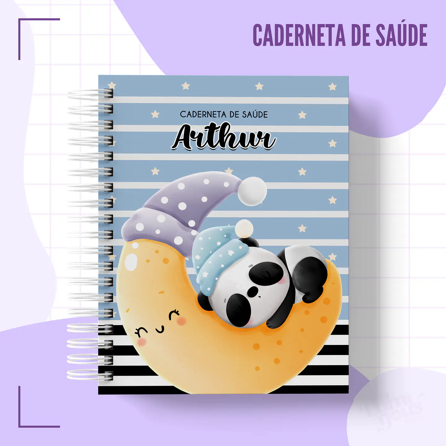 Arquivo Agendas Caderneta da Saúde em Pdf 2