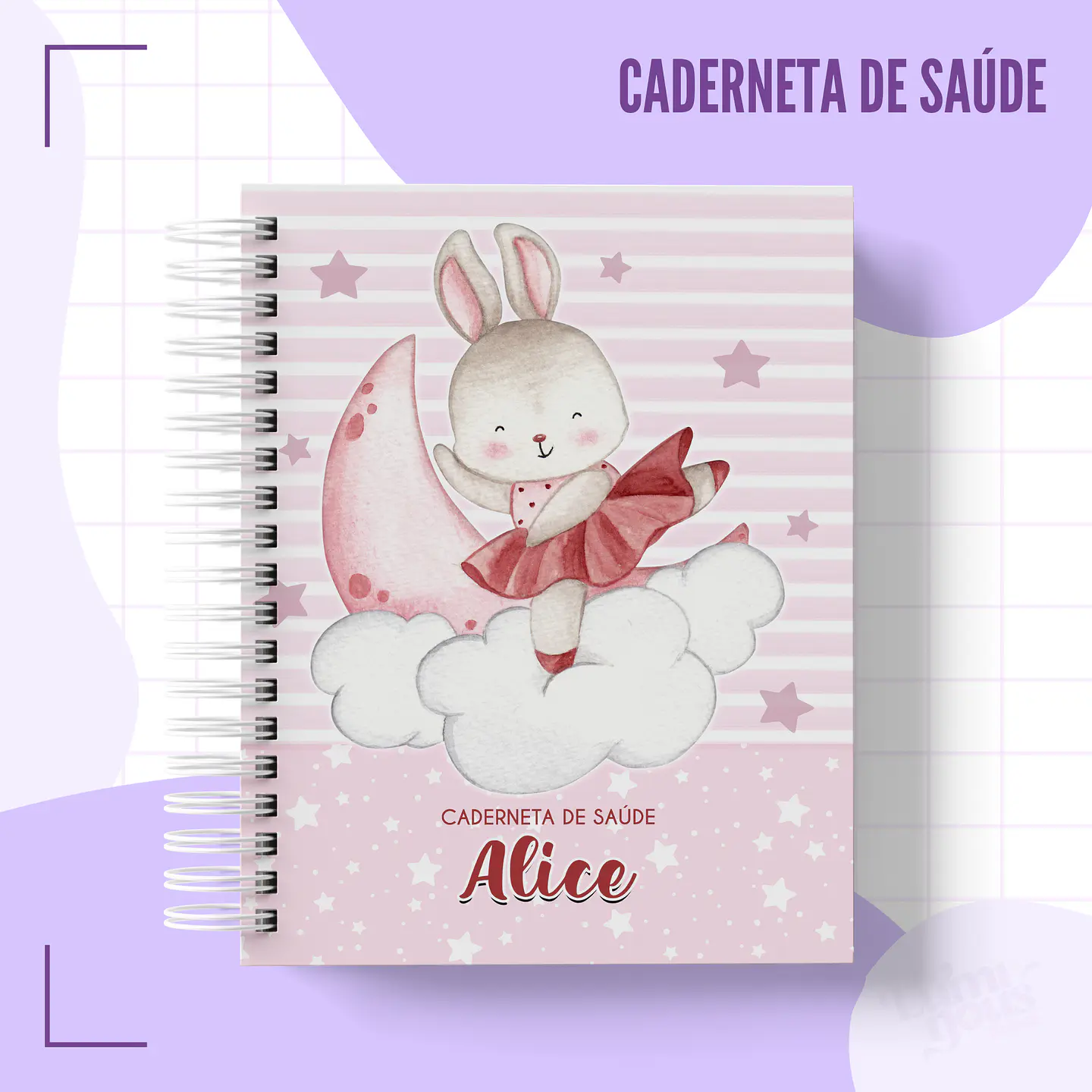 Arquivo Agendas Caderneta da Saúde em Pdf 4