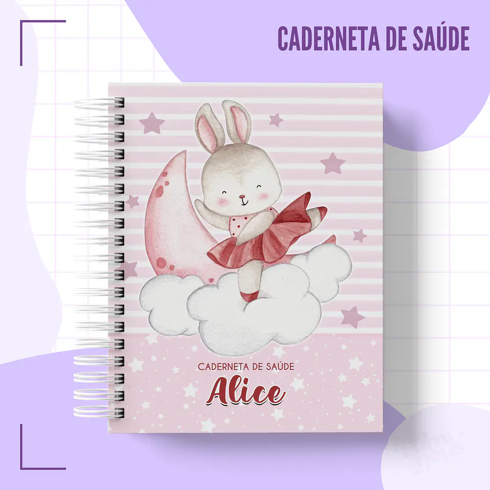 Arquivo Agendas Caderneta da Saúde em Pdf 4