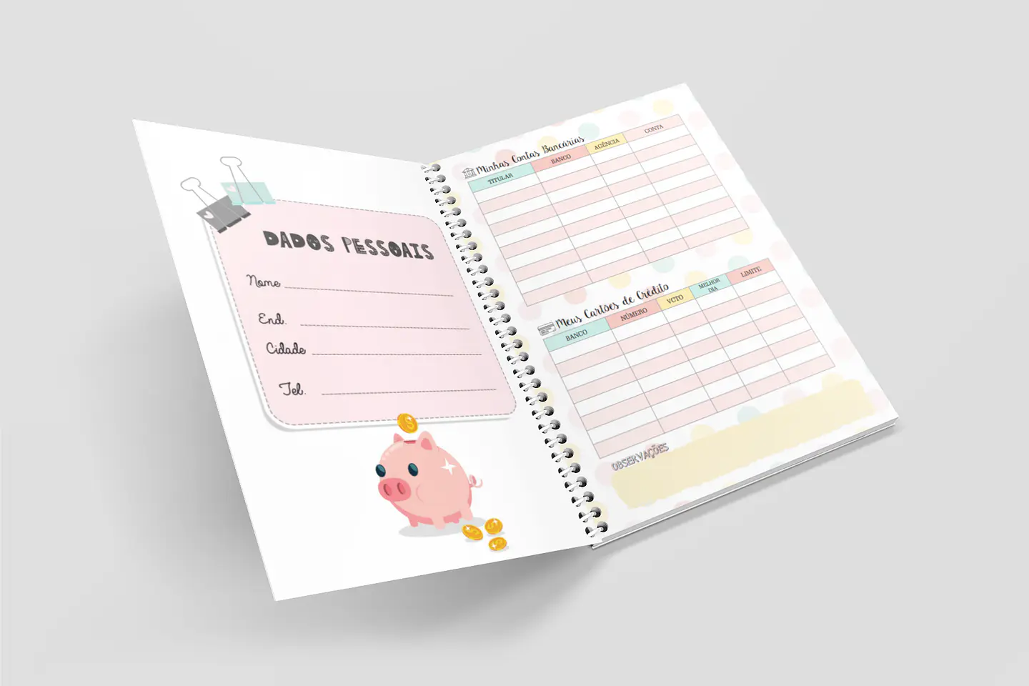 Arquivo Miolo Organizando Meu Dinheiro Financeiro em Pdf 2