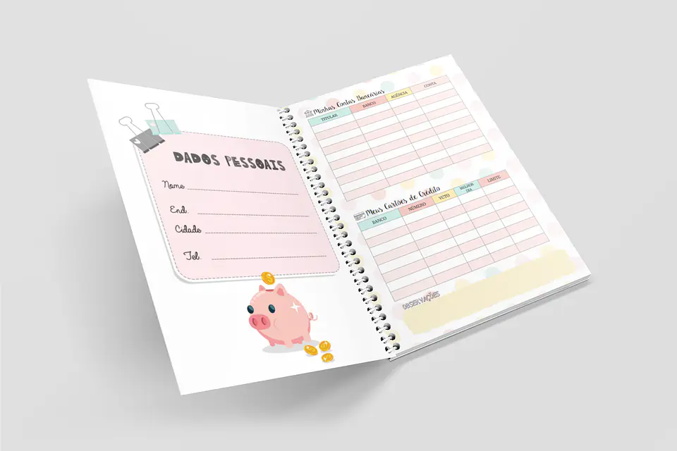 Arquivo Miolo Organizando Meu Dinheiro Financeiro em Pdf 2