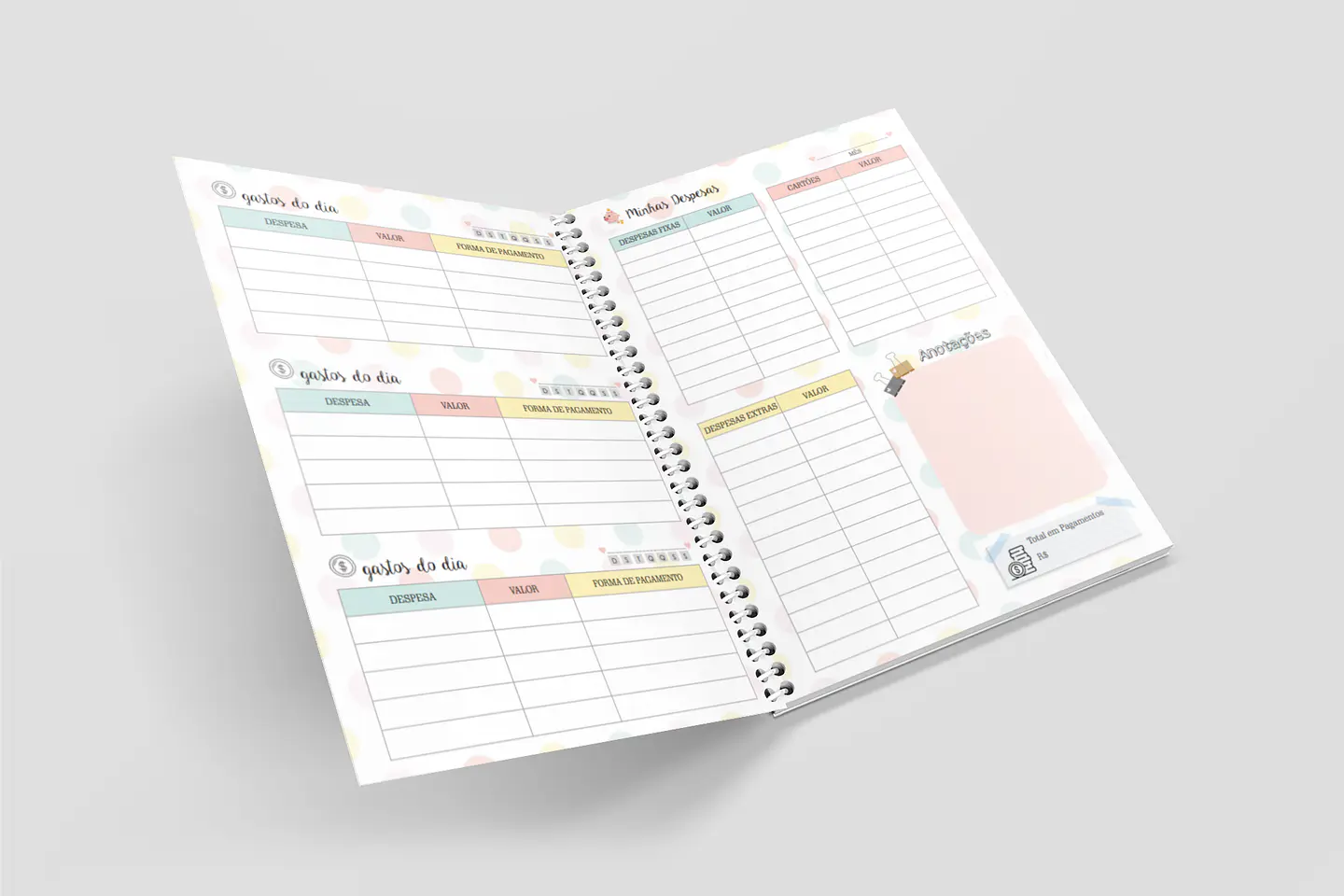 Arquivo Miolo Organizando Meu Dinheiro Financeiro em Pdf 3