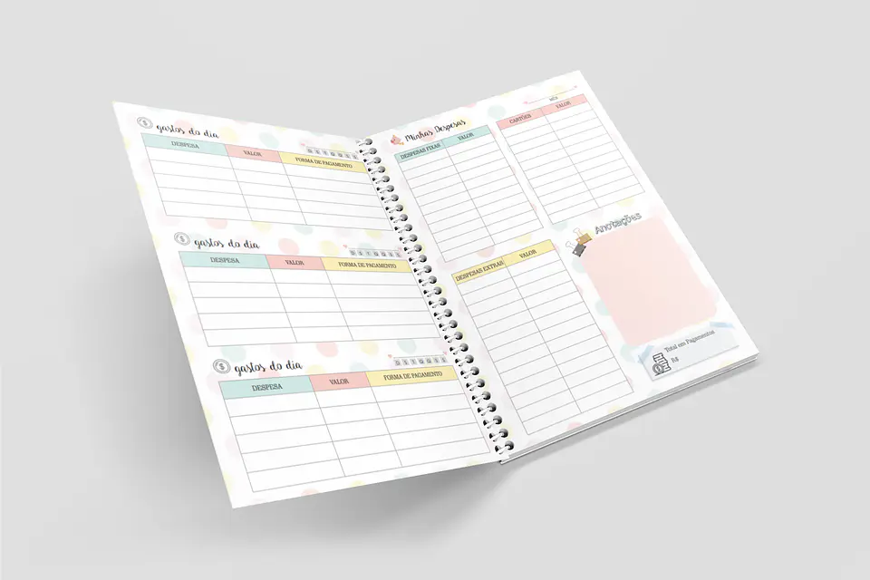 Arquivo Miolo Organizando Meu Dinheiro Financeiro em Pdf 3