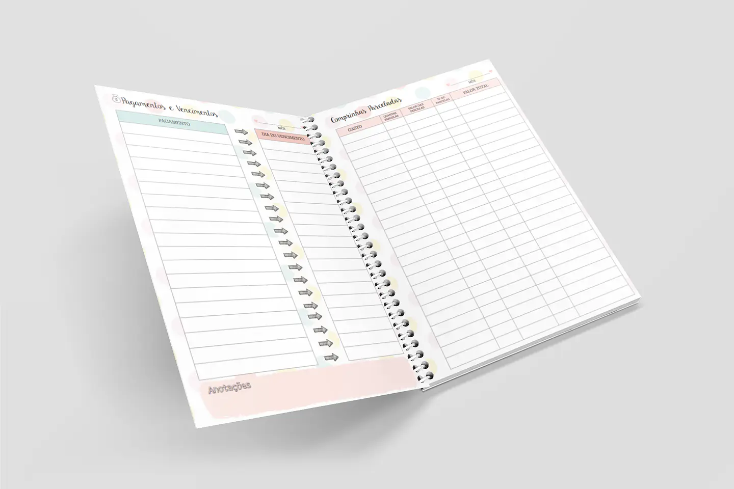 Arquivo Miolo Organizando Meu Dinheiro Financeiro em Pdf 6