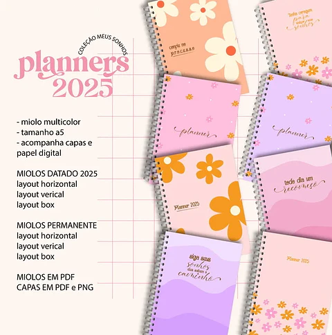 Arquivo Planner Financeiro 2025 em Pdf 