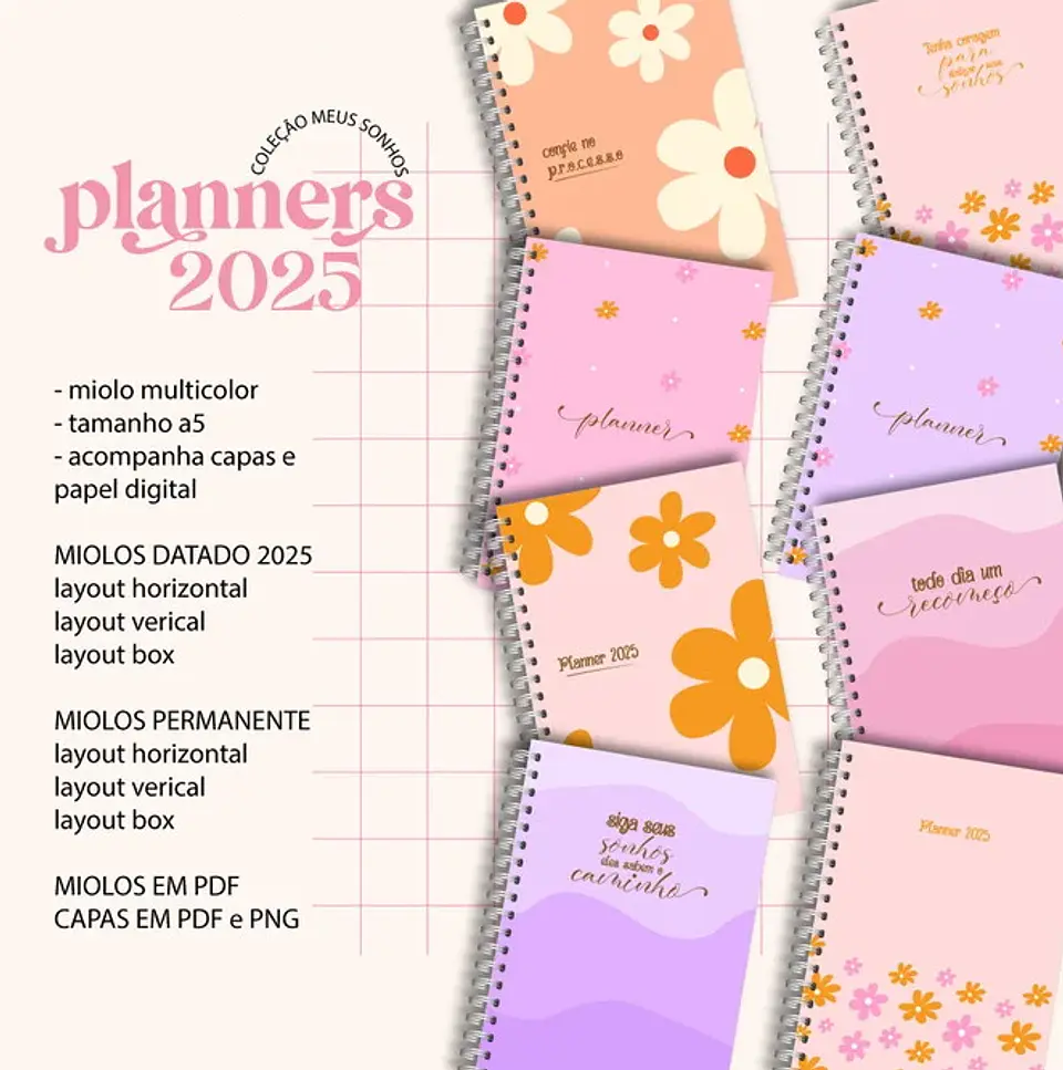 Arquivo Planner Financeiro 2025 em Pdf  1