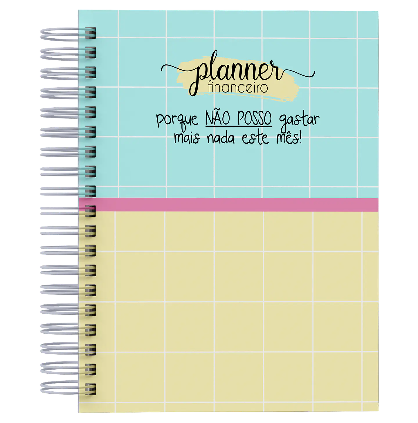 Arquivo Planner Financeiro 2025 em Pdf  3