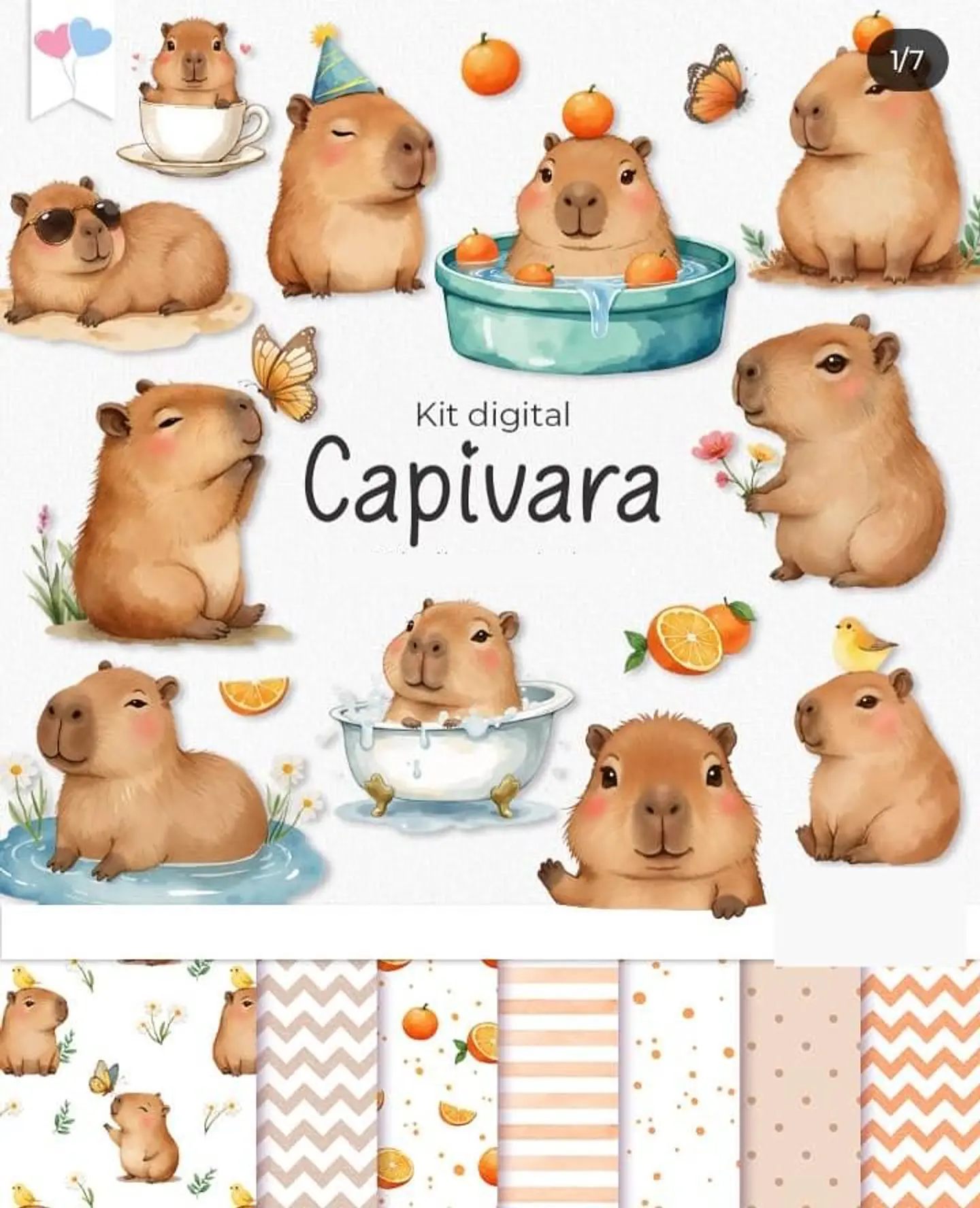 Kit Digital Capivara Png  1