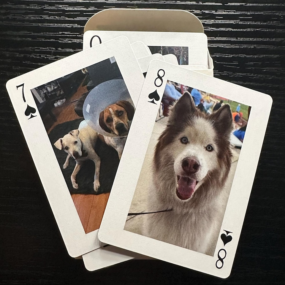 Baralho de Poker Personalizado Editavel no Canva Adicione Suas Fotos e Frases Favoritas! Crie e Personalize Agora Mesmo! 5