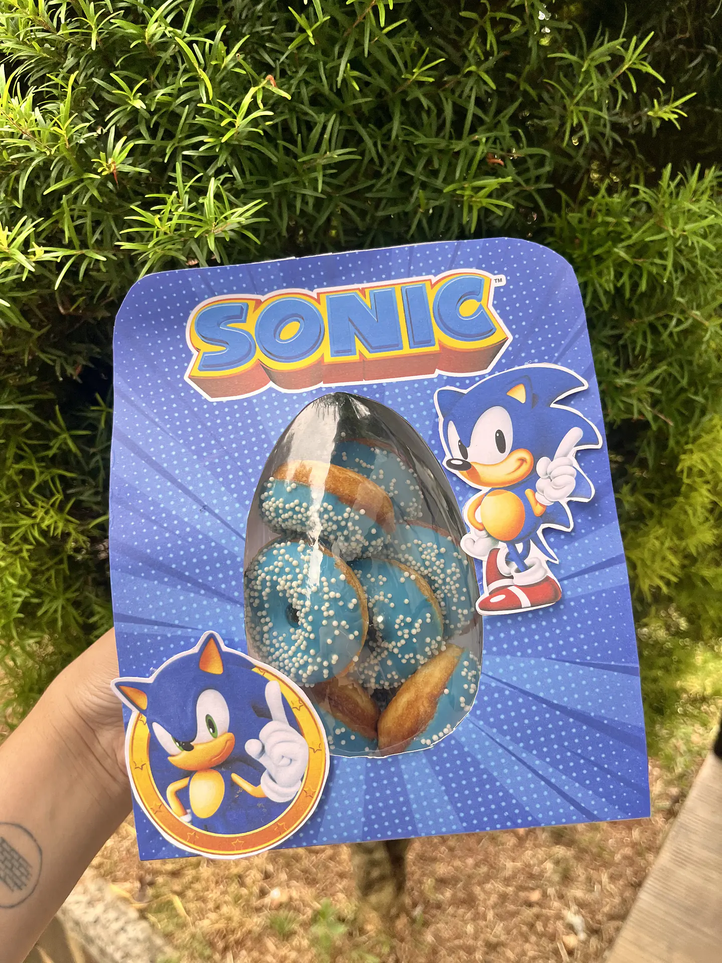 Arquivos Ovos de Páscoa Personagens e Mimos Arquivo Editável Canva 26