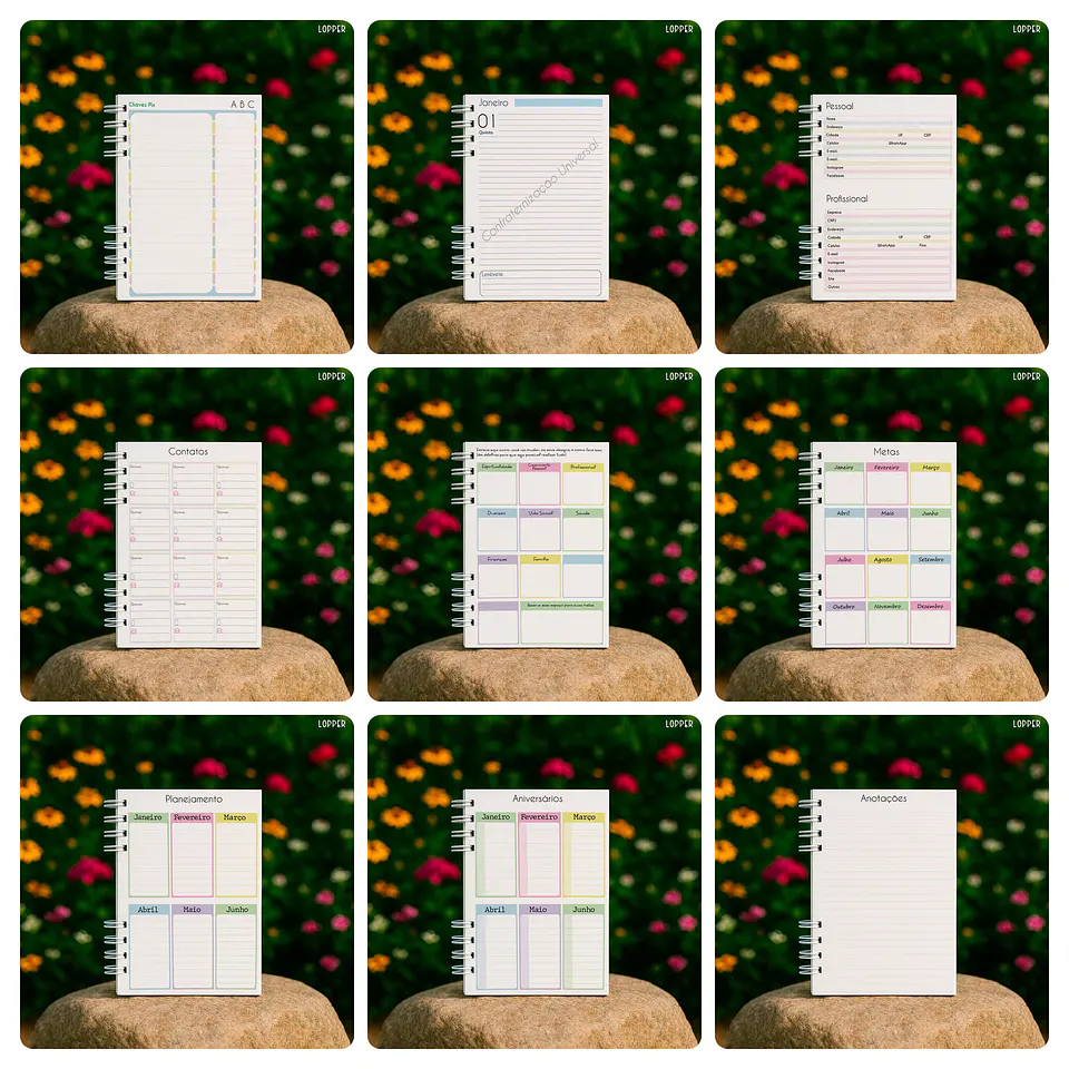 Arquivo Agenda Nossa Senhora Aparecida e Outro em Pdf  2
