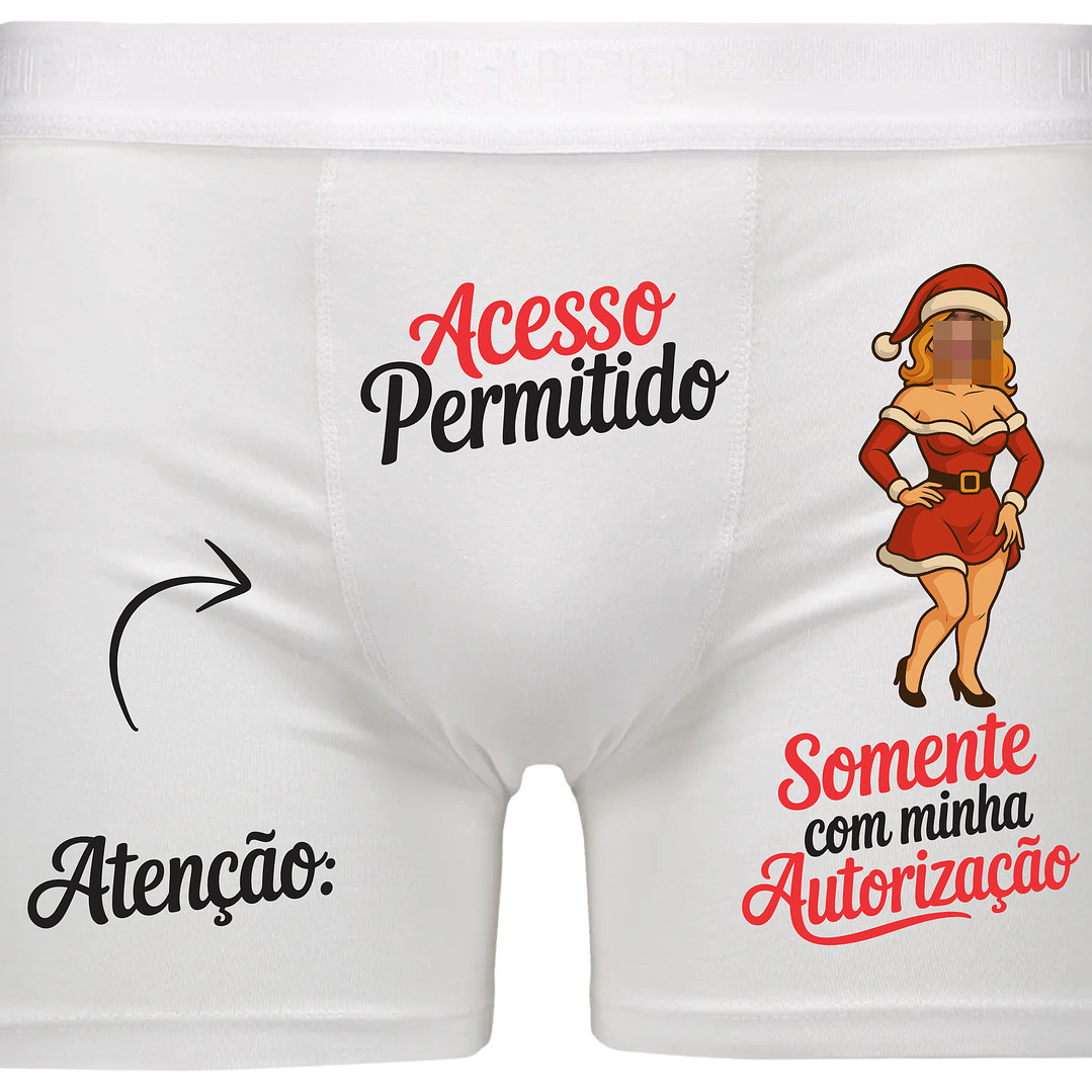 Arquivos para Cuecas Natalinas Arquivo Editável  10