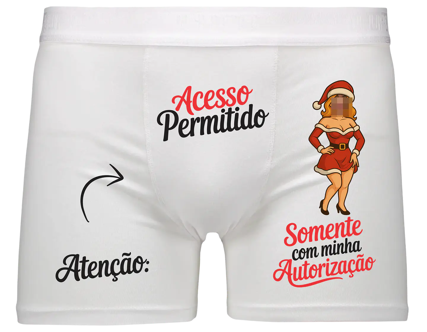 Arquivos para Cuecas Natalinas Arquivo Editável  10