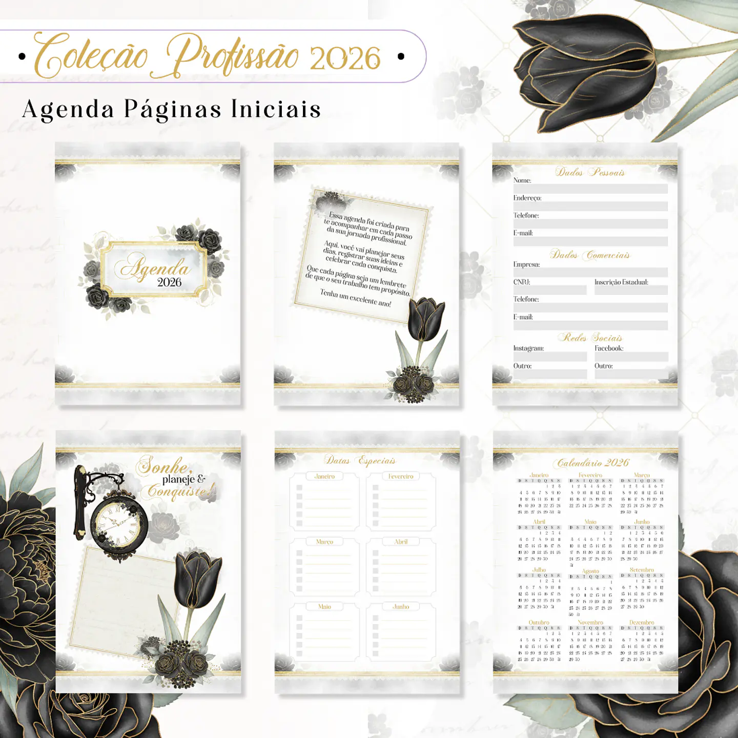 Coleção Profissões Feminina 2026 Arquivo em Pdf 16