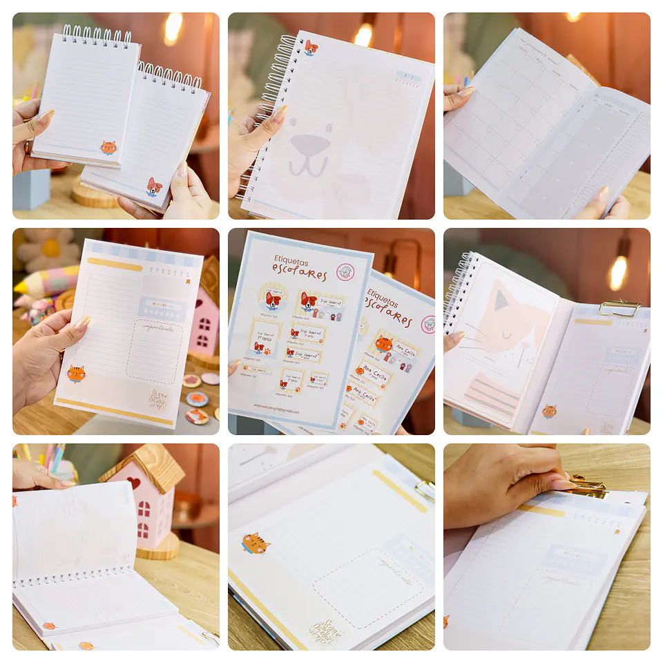 Arquivos encadernação Volta as Aulas Bichinhos Arquivo em Pdf  2