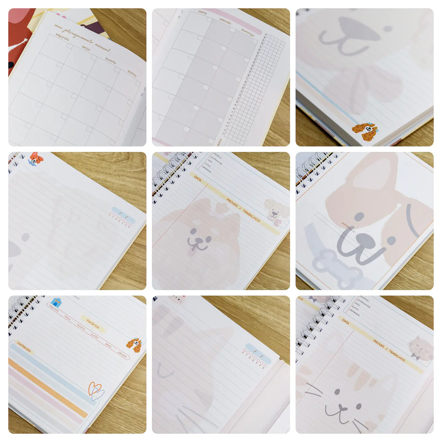 Arquivos encadernação Volta as Aulas Bichinhos Arquivo em Pdf  4