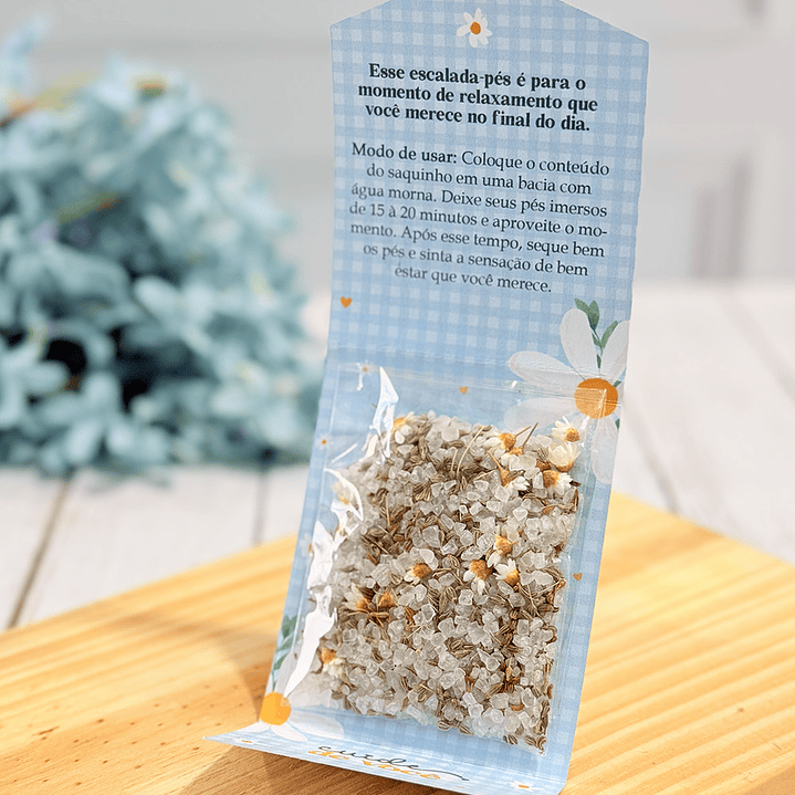 Arquivos para Dia das Mulheres Mimos Arquivo em Pdf 13