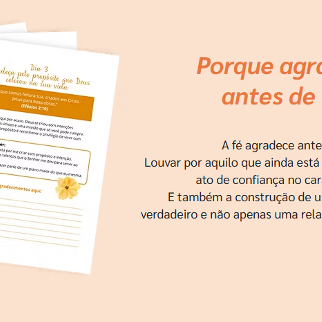 Arquivo 365 dias em Conexão com Deus Arquivo em Pdf 6