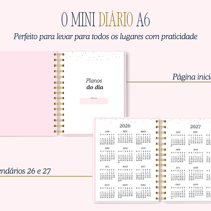 Arquivo Encadernação Diario da Elizabeth Arquivo em Pdf  3