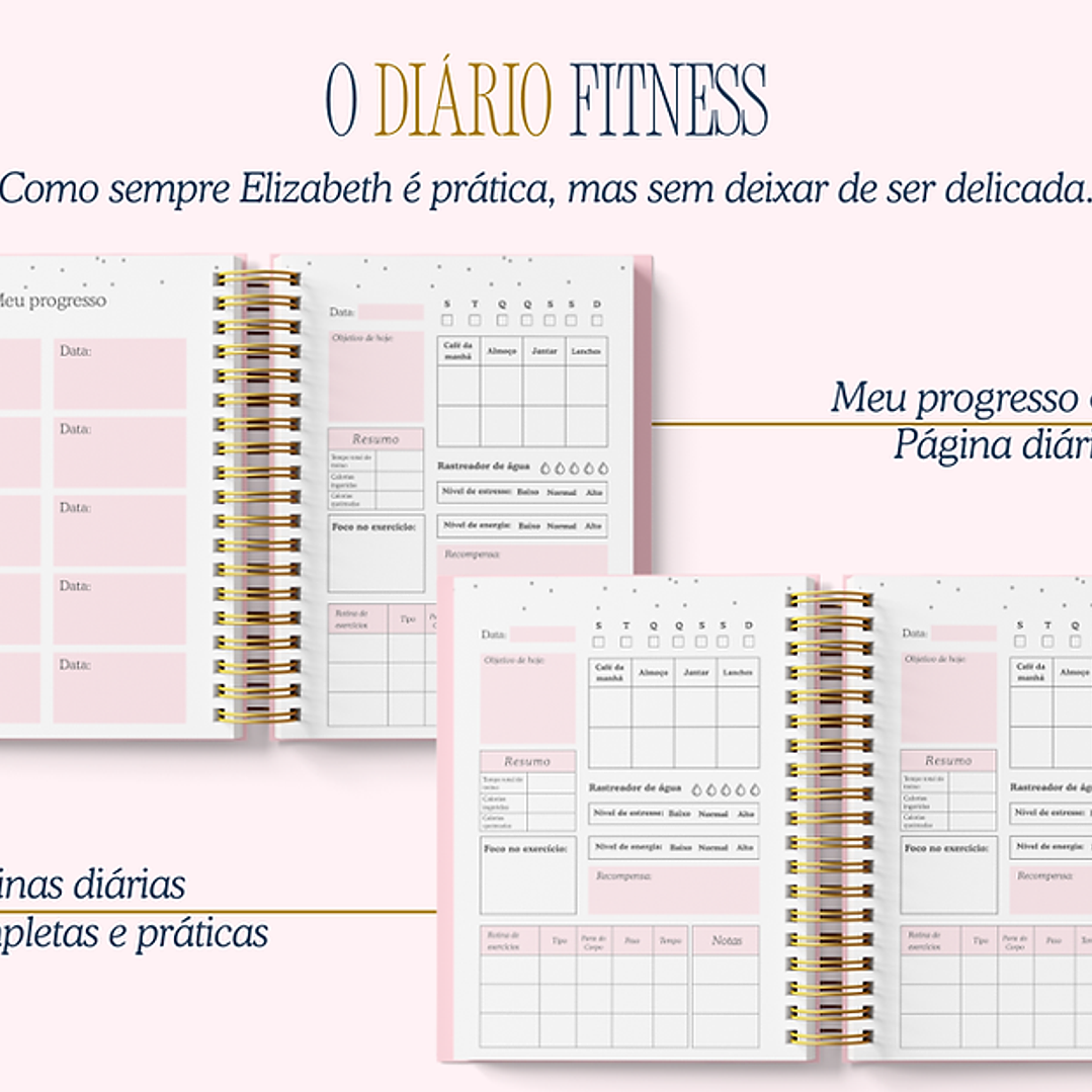 Arquivo Encadernação Diario da Elizabeth Arquivo em Pdf  4