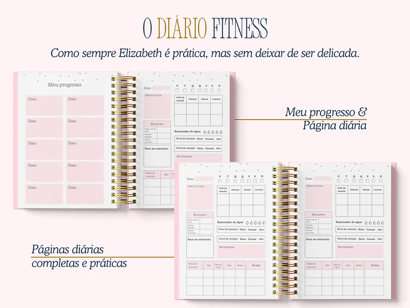 Arquivo Encadernação Diario da Elizabeth Arquivo em Pdf  4