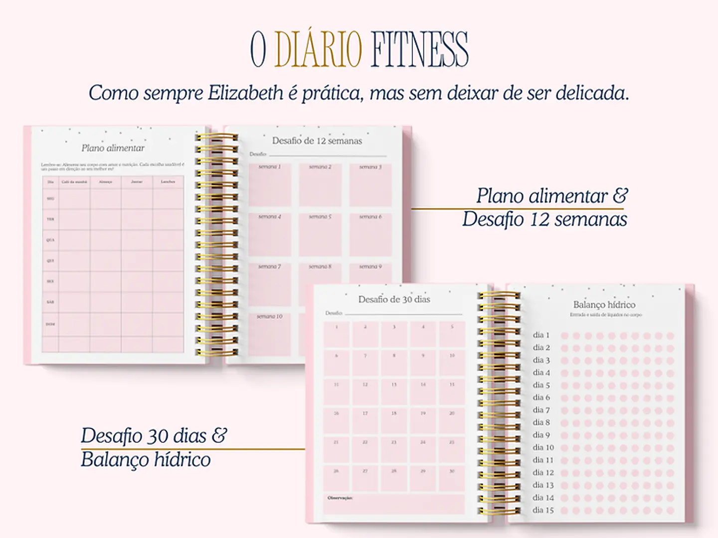 Arquivo Encadernação Diario da Elizabeth Arquivo em Pdf  5