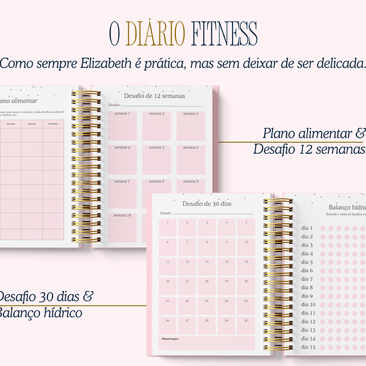 Arquivo Encadernação Diario da Elizabeth Arquivo em Pdf  5