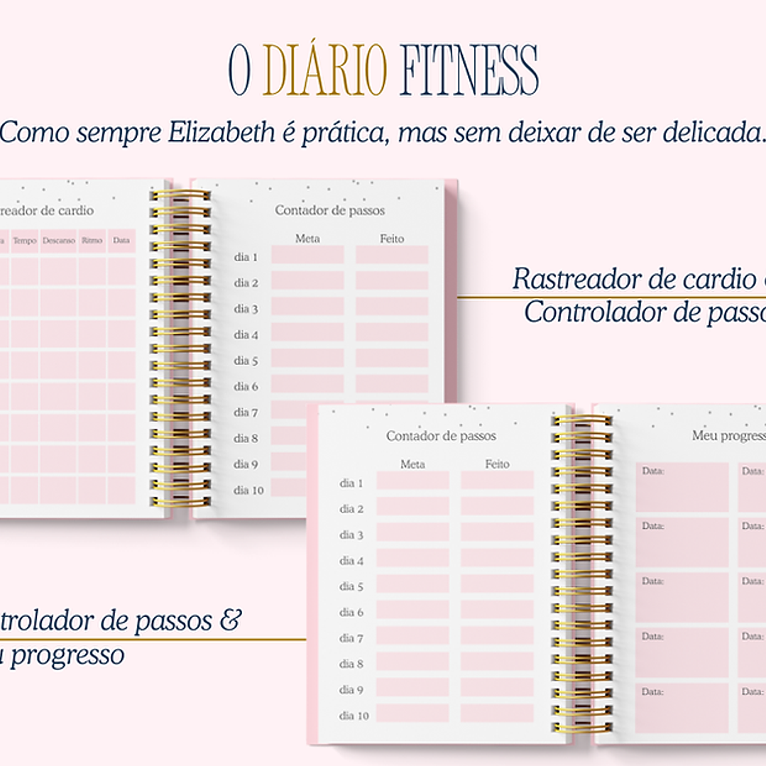 Arquivo Encadernação Diario da Elizabeth Arquivo em Pdf  7