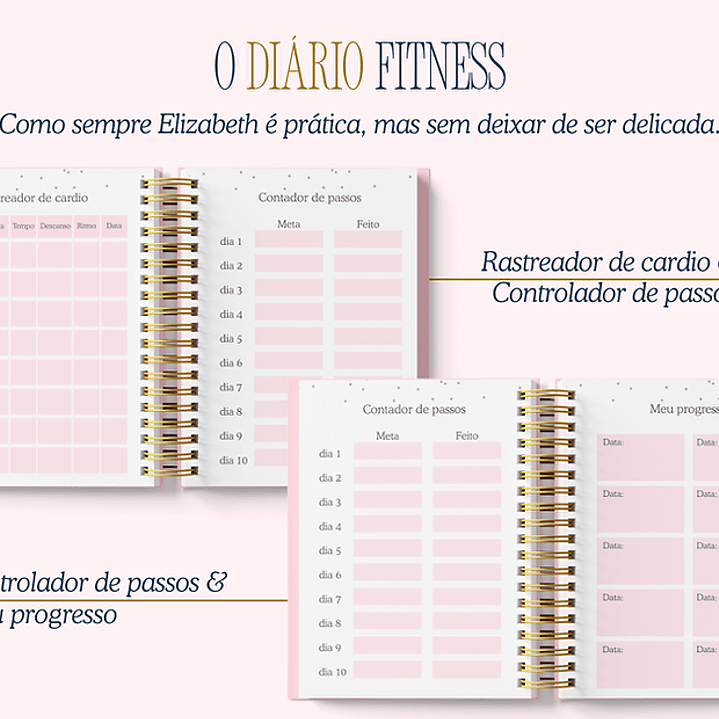 Arquivo Encadernação Diario da Elizabeth Arquivo em Pdf  7