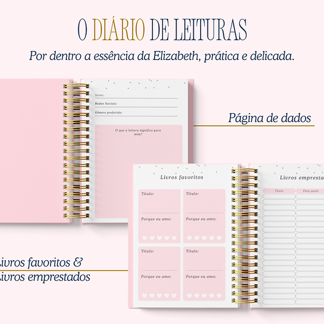 Arquivo Encadernação Diario da Elizabeth Arquivo em Pdf  12