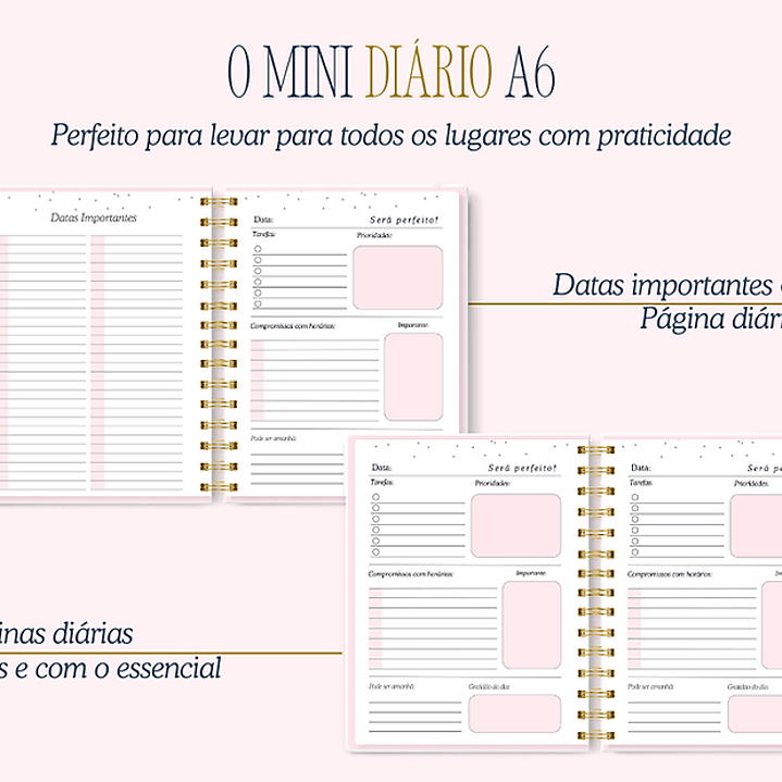 Arquivo Encadernação Diario da Elizabeth Arquivo em Pdf  14