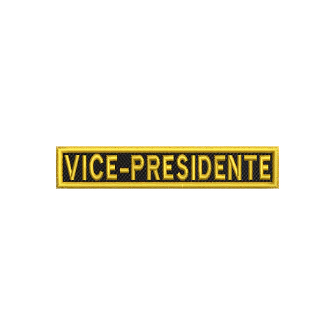 Vice Presidente