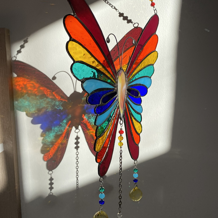 Mariposa Arcoíris 1