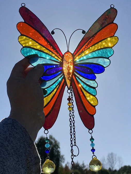 Mariposa Arcoíris 3