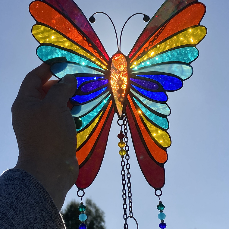 Mariposa Arcoíris 3