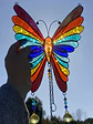 Mariposa Arcoíris - Miniatura 3