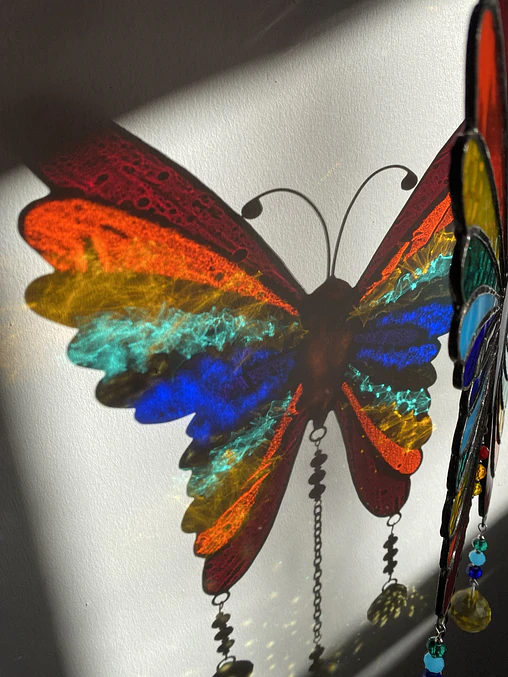 Mariposa Arcoíris 4