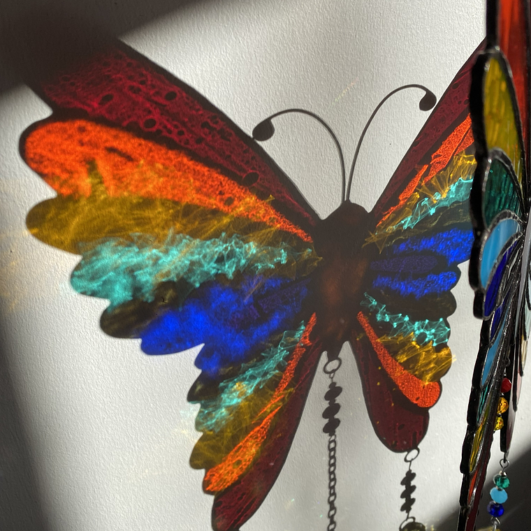 Mariposa Arcoíris 4