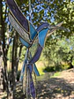 Colibrí 3D en vidrios importados - Miniatura 5