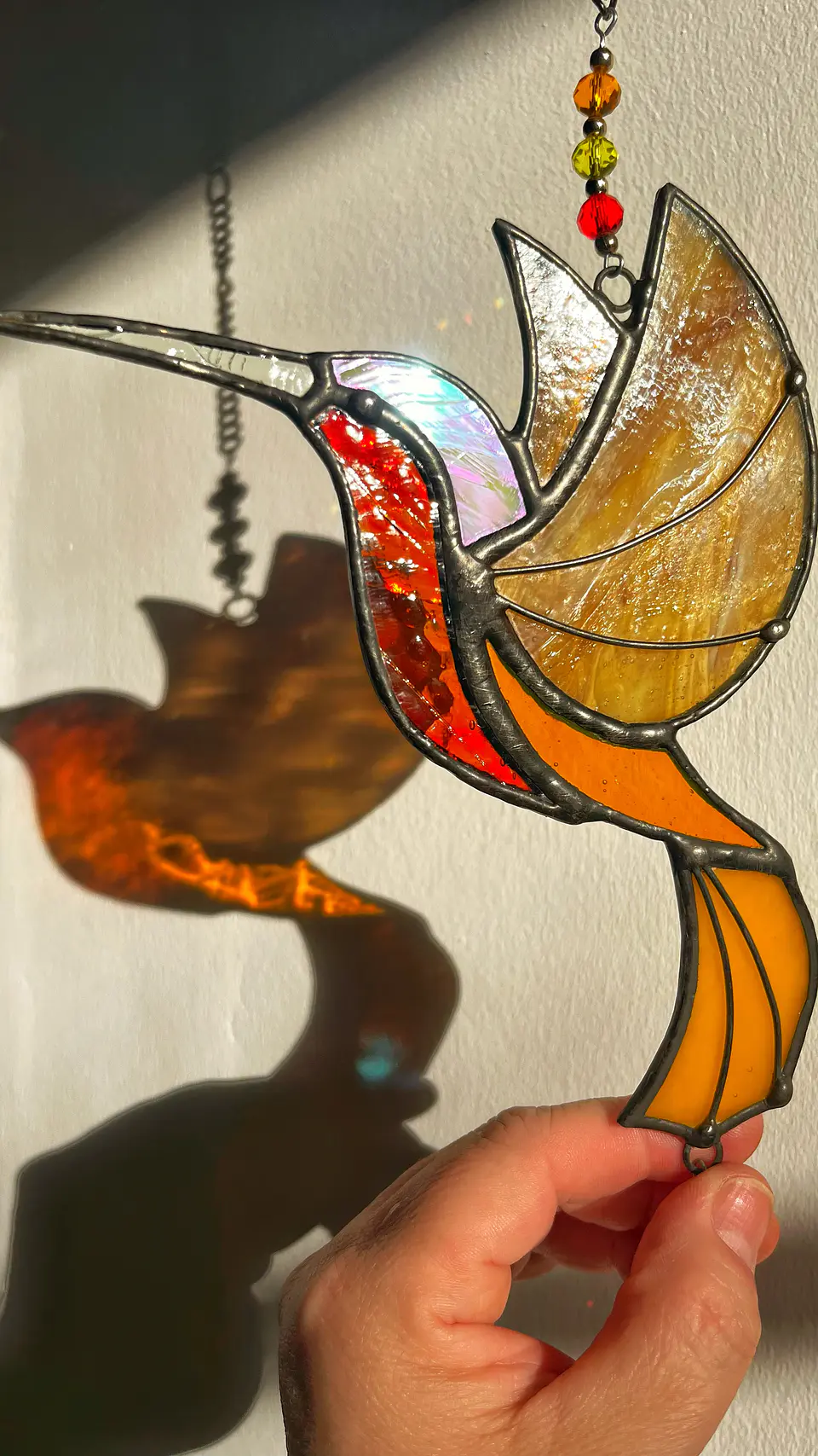 Colibri 2d con prisma 3