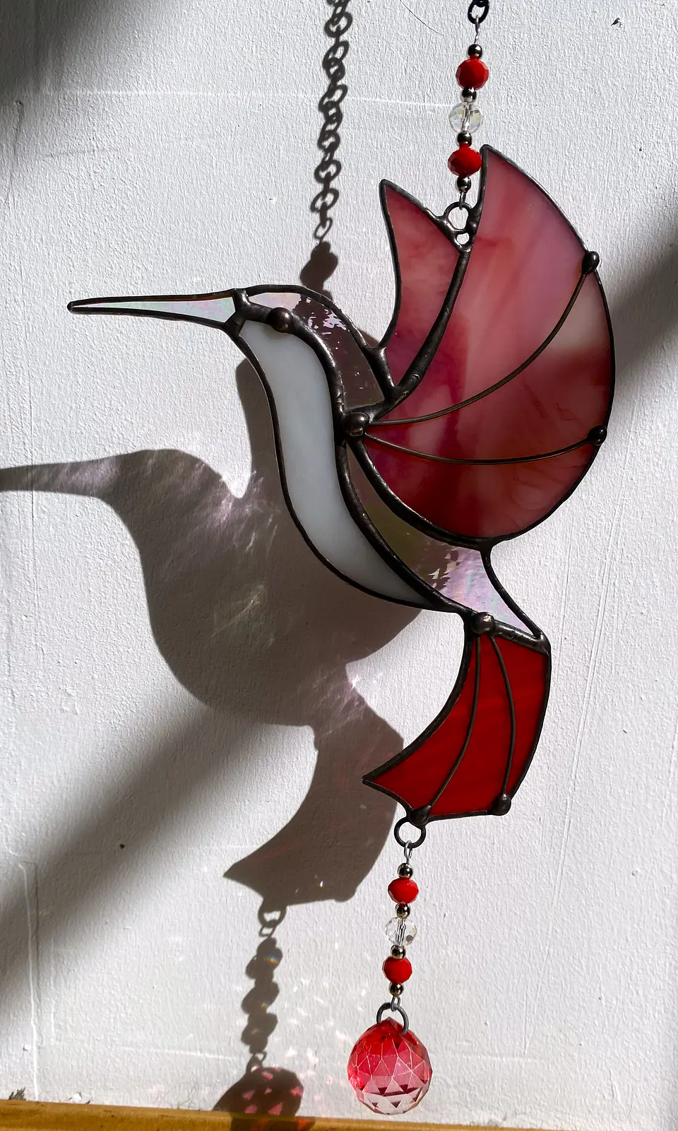 Colibri 2d con prisma 4
