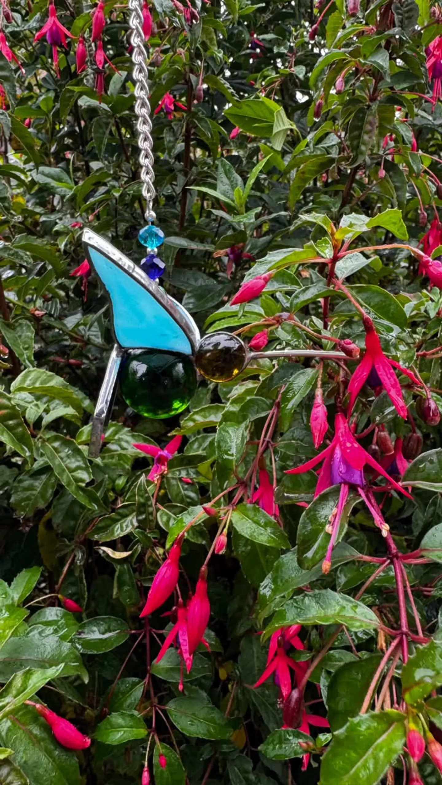 Colibrí canicas 3D 3