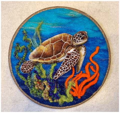 Curso de la Tortuga Marina